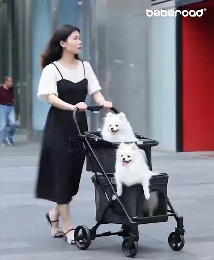 🚀🐶 **Introducing the All-New T1 Double Dog Stroller!** 🐾✨ Say hello to **next-level pet strolling**! The **T1 Double Dog Stroller** is here to **redefine convenience, comfort, and style** for pet parents everywhere. Designed to outshine outdated strollers, this game-changer is packed with **innovative features** that make every outing a breeze! 🔥 **T1 Highlights:** ✅ **One-hand folding & unfolding** – Effortless setup! ✅ **Lightweight & compact** – Easy to store & transport 🚗 ✅ **Detachable