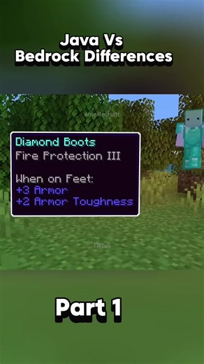 250 Java vs Bedrock Differences #minecraft #minecraftbedrock #minecraftJava #fyp #foryoupage