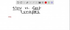 SOLVED:The difference between slow and fast synapses is a. the width of the synaptic cleft. b. the size of the synapse. c. whether or not the neurotransmitter acts directly on ion channels. d. the density of receptors on the postsynaptic membrane. e . the amount of neurotransmitter that is released.