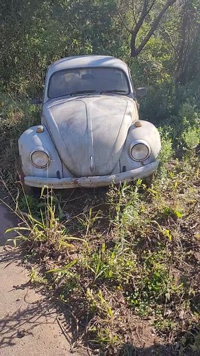 Fuscão na beira da estrada #fusca #car #carros #turismorural #carrosantigos | Relíquias do sul