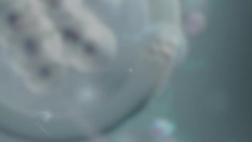 Fighting 2009 [Lektor PL]