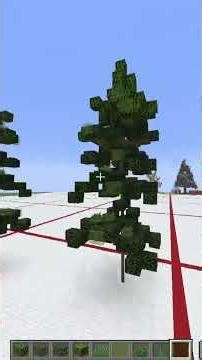 day 13/50 Even more trees