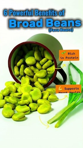 6 Powerful Benefits of Broad Beans (Fava Beans)