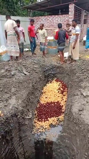 5.6M views · 35K reactions | মিষ্টির নামে কি খাচ্ছেন? | JOB Math | Facebook