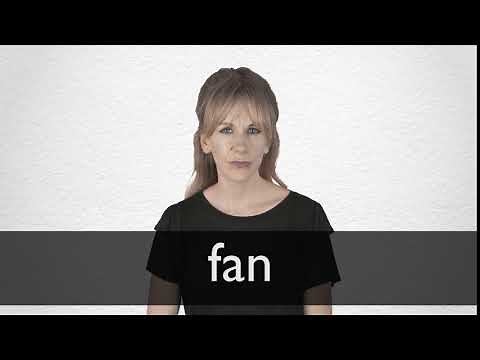 How to pronounce FAN in British English