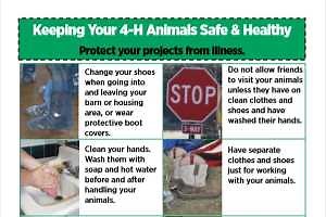 Keeping Your 4-H Animals Safe & Healthy