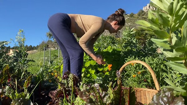 Emilia’s beautiful vegetable garden