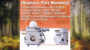 Amazon.com: Mtanlo 753-06190 Carburetor w Carb Adjustment Tool For Troy Bilt TB22 TB21EC TB22EC TB32EC TB42EC TB80EC TB2040XP Trimmer For Weed Eater Murray M2500 M2510 Brushcutter : Patio, Lawn & Garden