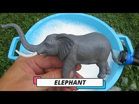 Water Sensory Bin with Animal Toys & Realistic Animal Sounds | Montessori-Inspired Play