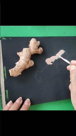 Creative ideas for acrylic painting 🎨 ginger 😊