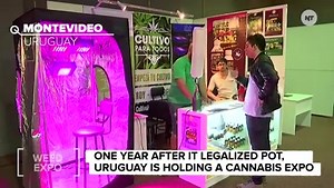 27K views · 855 reactions | Uruguay held its first 'cannabis expo' | NowThis | Facebook