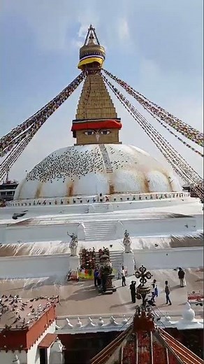 Exploring Boudhanath Stupa, Nepal, Panda Experiences from Sonjya B. 🇳🇵