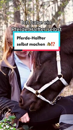 Pferde Halfter aus Biothane selbst machen