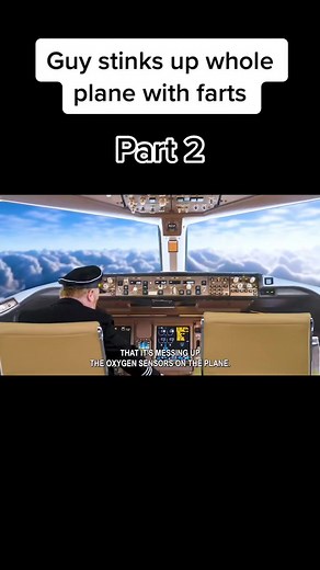 #fyp #farts #story #plane