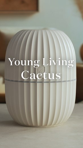 6K views · 46 reactions | ✨ Spruce up your space with our ultrasonic...