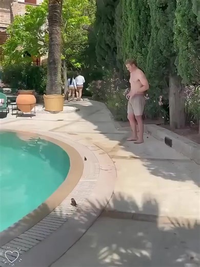 Coolest moves.