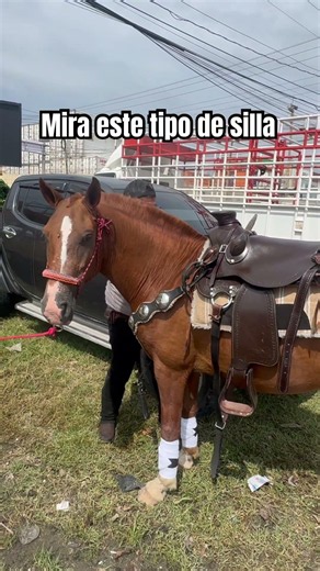 Mira este tipo de silla