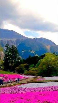 DISCOVER THE PREFECTURES OF JAPAN 11 SAITAMA