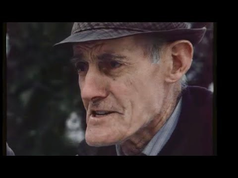 Beware the ancient Irish fairy tree 1983