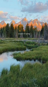 48K views · 2.2K reactions | happy first day of spring!!️✨ #naturetherapy #hiking #springtime #forestbathing #pnw #springflowers #optoutside #oregon #naturewalk #redwoods #california #wyoming #washington #raintherapy | Jhamil Bader | Facebook