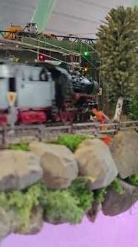 Die 050 und 85 auf Tour #eisenbahn #trainspotting #märklin #modellbahnanlage #train #modeltrains