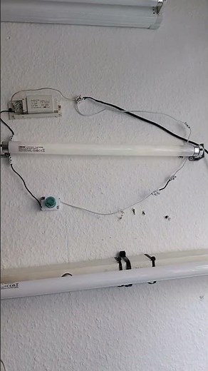 DIMMABLE F15T8 preheat fluorescent lamp! #fluorescentbulb #fluorescentlighting #dimmable