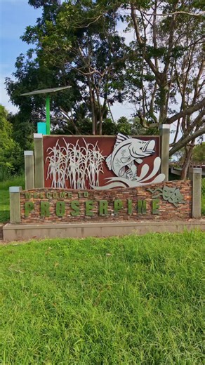 Proserpine from above 🌾 A bird’s-eye look at the heart of this proud country town, where community spirit meets wide open skies. From morning coffees at Whitsunday Gold ☕ to the legacy of the Sugar Mill, the stories held in the Proserpine Museum, and quiet moments across Pioneer Park, the main street, and the iconic Water Tower — this is small-town Australia at its finest. Framed by lush green surrounds, the swimming pool, bowls club, tennis courts, and golf course all come together under clear