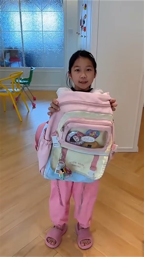 The cat is inside the bag #shorts #viralshorts