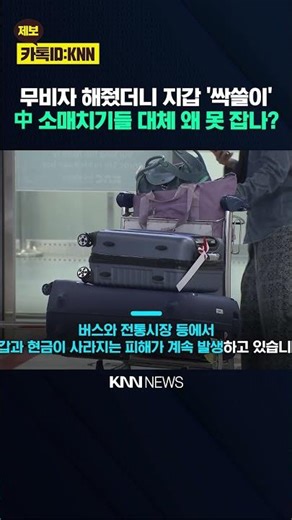 Visa-Free Entry Leads to 'Pickpocketing' Trips? 'High Tension' Over Suspected Chinese Organized C...