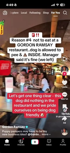 @Gordon Ramsay reply to the dog in his restaurant… guess it’s a joke to him and his daughter! Deleted the video though! 😭😂😂😂 #gordonramsaystreetpizza