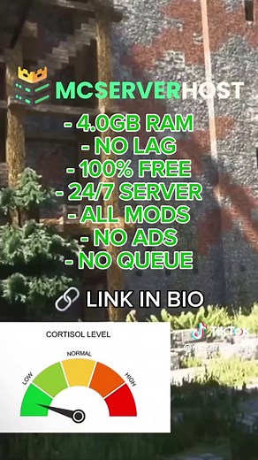 Low Cortisol vs High Cortisol in Minecraft Hosting