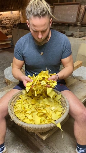 La collection « chute de feuilles » s’agrandit avec l’arrivée du format A2 à inclusion de feuilles de Gingko Biloba ! Ce papier recyclé est notamment destiné à la création de luminaires et d’abat-jours mais peut aussi être utilisé pour l’écriture, l’encadrement et toutes sortes d’arts graphiques. Les collections « chute de feuilles » sont à retrouver dans la rubrique créations originales de notre boutique en ligne. ⚠️ Il s’agit d’une série limitée - Format A3 (50 feuilles) - Format A2 (25 feuill