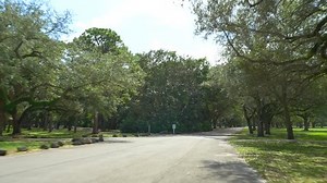 Walking Through Park Nature Scene Stock Footage Video (100% Royalty-free) 14508217 | Shutterstock