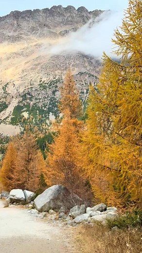 #austria #nature #vinland #mountains #lakes #wanderlust #travelvibes #scenicviews #naturelover #beautifuldestinations #earthmagic #peacefulplaces #relaxingnature #adventuretime #outdoorlife #sereneviews #naturalbeauty #chillscenery #moodscape #discoverearth | Exploring the nature