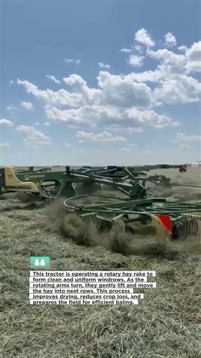 Hay Rake Creating Perfect Windrows | #HayFarming #AgMachinery #Tractor