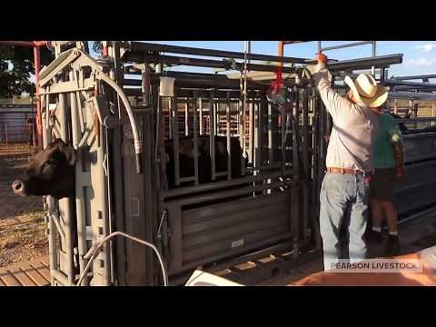 Gravity manual head gate