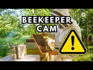 🍯Inside an Aggressive Beehive -View Through a Beekeeper’s Veil (Africanised Bees) #beekeeping