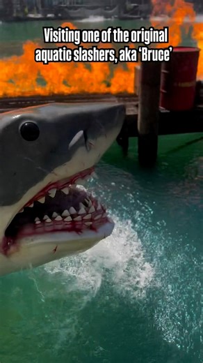 Jaws — the original aquatic slasher that made us afraid to dip a toe in the ocean.Explosions, blood in the water, and a mechanical beast that still haunts our nightmares.Spielberg gave us a shark that didn’t just bite… it devoured cinema history.#jaws #universalstudioshollywood #universalstudiostramtour #universaltravel #universalstudioscalifornia #jawsthemovie #spielberg #hollywood #halloween #shark #cinematichorror #horror | Tara Polhamus