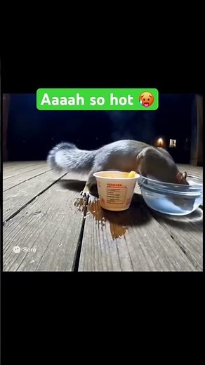 Ahhh help me 🥵 #funny #cute #memes #ai #laughoutloud #laugh