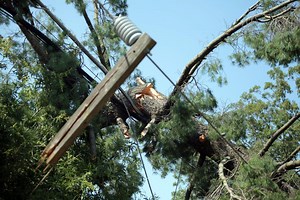 Nature Versus Technology