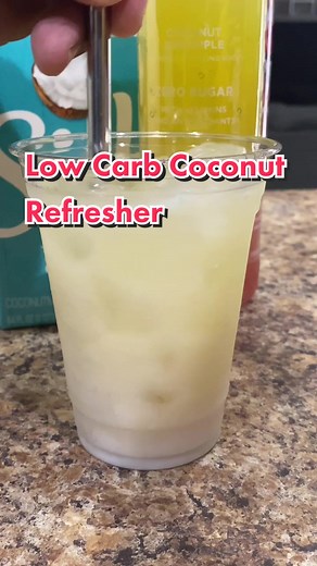 Refreshing Coconut Milk Drink Recipe