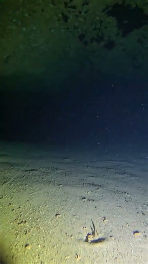 Into the Never #extreme #Adventure #beneaththejungle #Cozumel #cavediving #caves #scuba