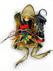 Dead frog with a webserver can be controlled over the net
