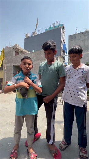 Chote Subscriber milne aye 😍😂 #shamu_pigeon_loft #pigeon
