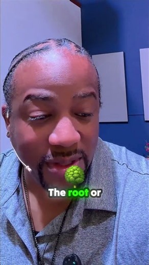 Are you the root or the branch? This truth changed everything for me.