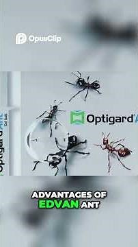 Advion Ant Gel Bait Colony Elimination Strategy Revealed!