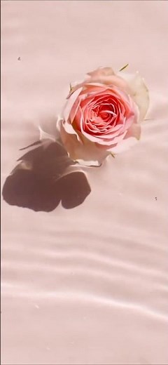 Valentine lyrics #laufey