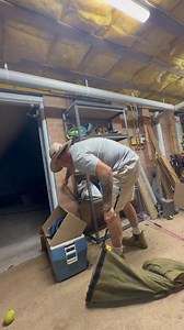 Tiger snake relocation from a property in Goulburn the other night 👍🐍 #southernhighlandssnakecatchers #southcoast #Goulburn #snakesofaustralia #snakes #australia #venomous #wildlife #tigersnake | Southern highlands & south coast snake catchers