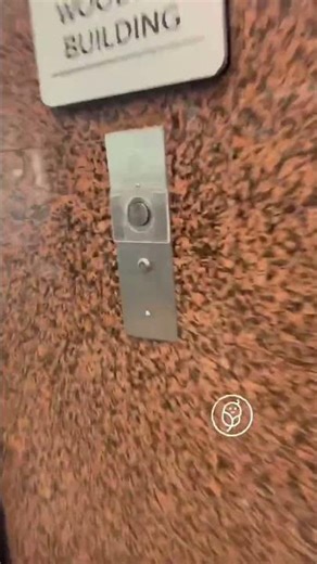 Jennifer's medical screening went smoothly. Now we wait for results before moving on to legal.🤎✨#fy