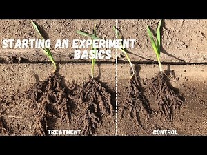 How to Start an experiment in Agriculture? | Basics